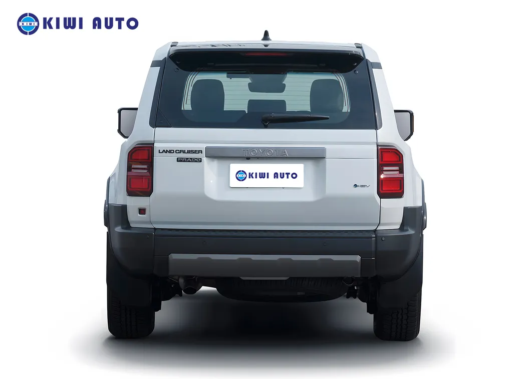 Toyota Prado View 5