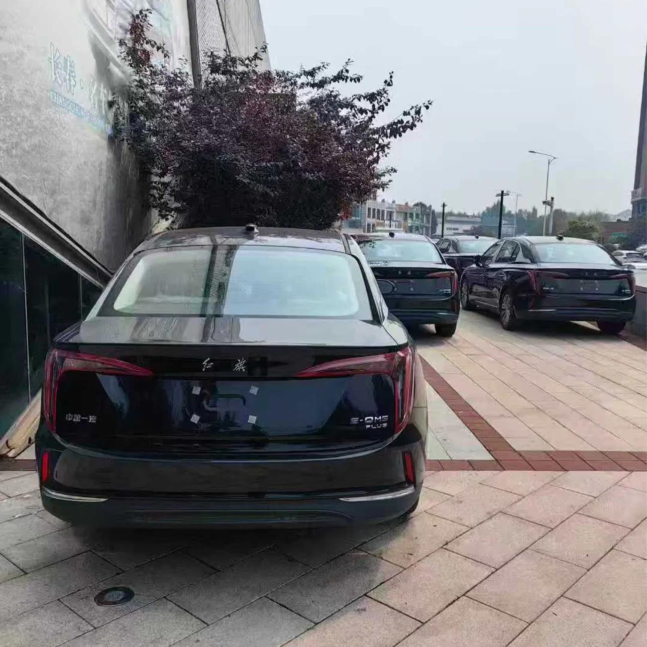 Hongqi E-Qm5 Auto Coche Vehículo Eléctrico Vehículos de Nueva Energía