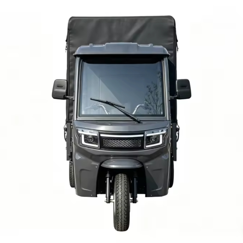 Triciclos eléctricos personalizables de alta calidad vehículo de carga pesada 1800W/2000W triciclo de transporte de carga y pasajeros para uso comercial