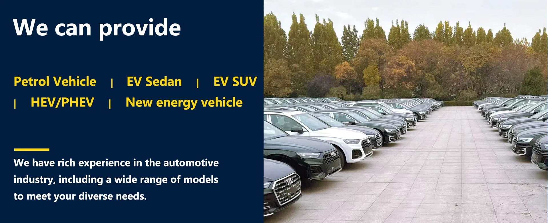 2026 Nuevo Byd Seagull 305km Rango Coche Eléctrico Inteligente EV Precio Coche Byd Coche Mini Coche Auto SUV