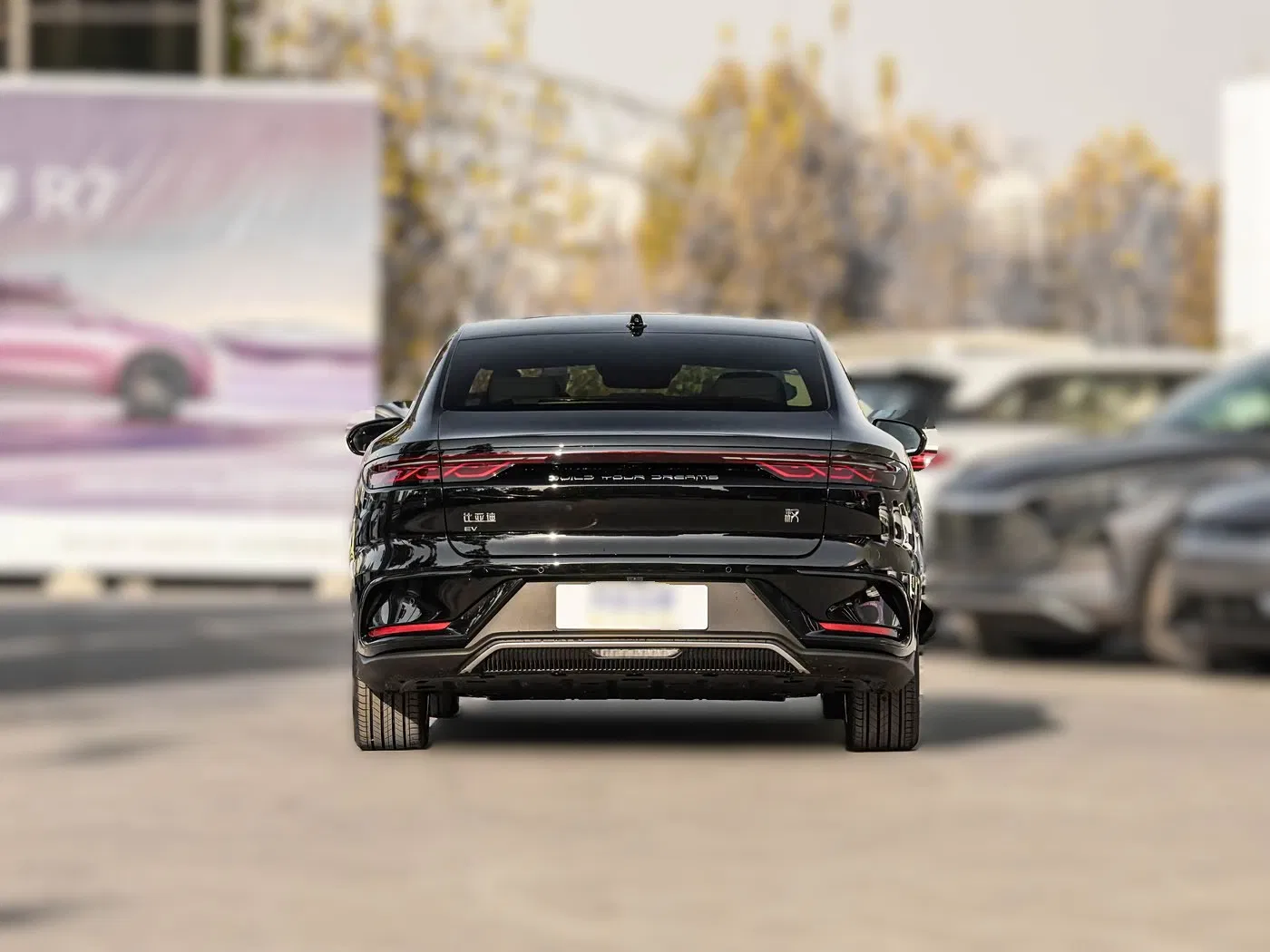 Coche Usado Han 2025 Edición de Conducción Autónoma EV 506km Premium para Viaje