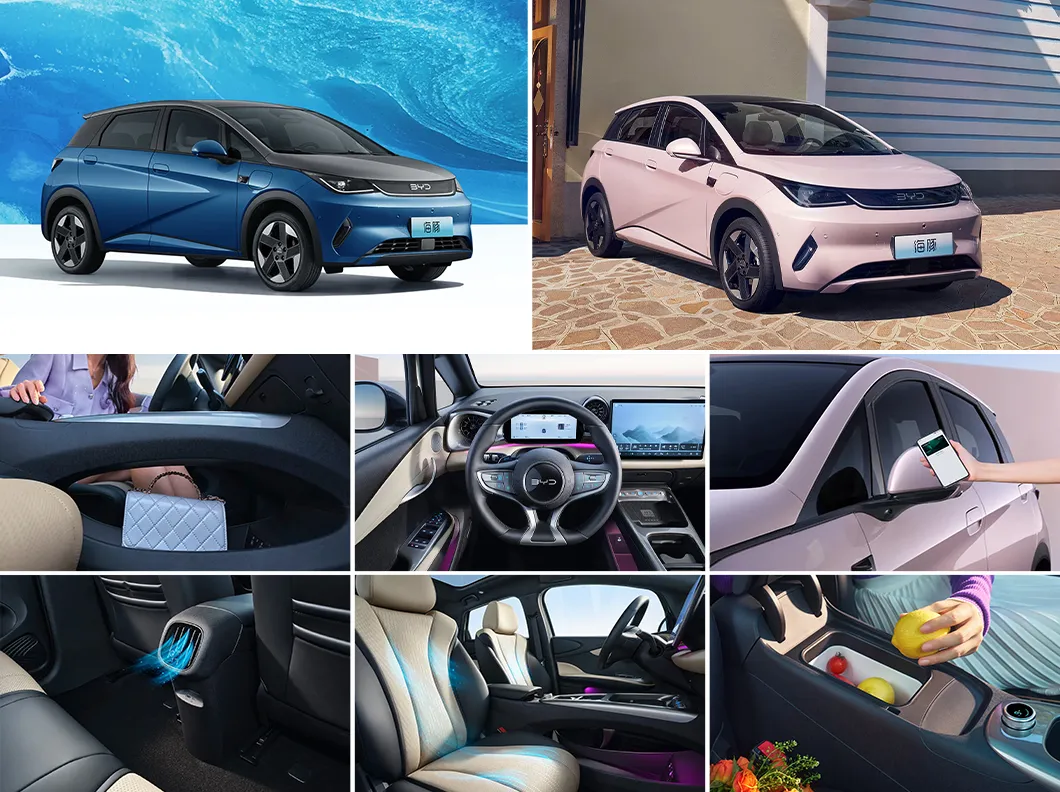 Byd Dolphin El coche eléctrico completo más barato de China nuevo hatchback