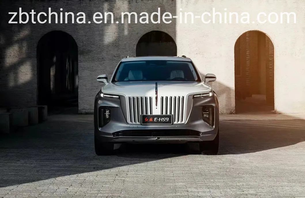 Detalle FAW HONG QI E-HS9