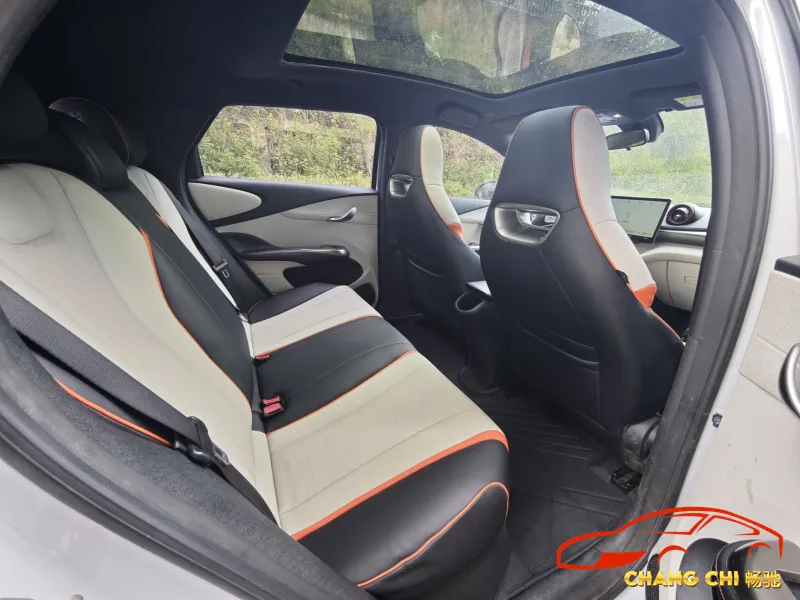 Interior BYD Dolphin