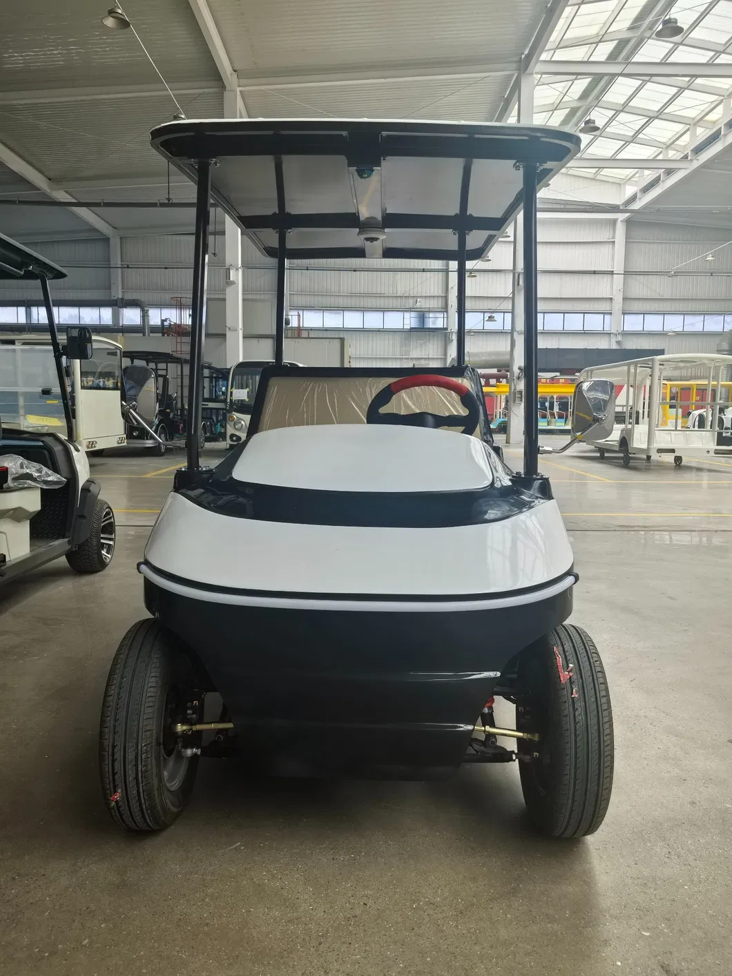 Coche eléctrico para áreas turísticas