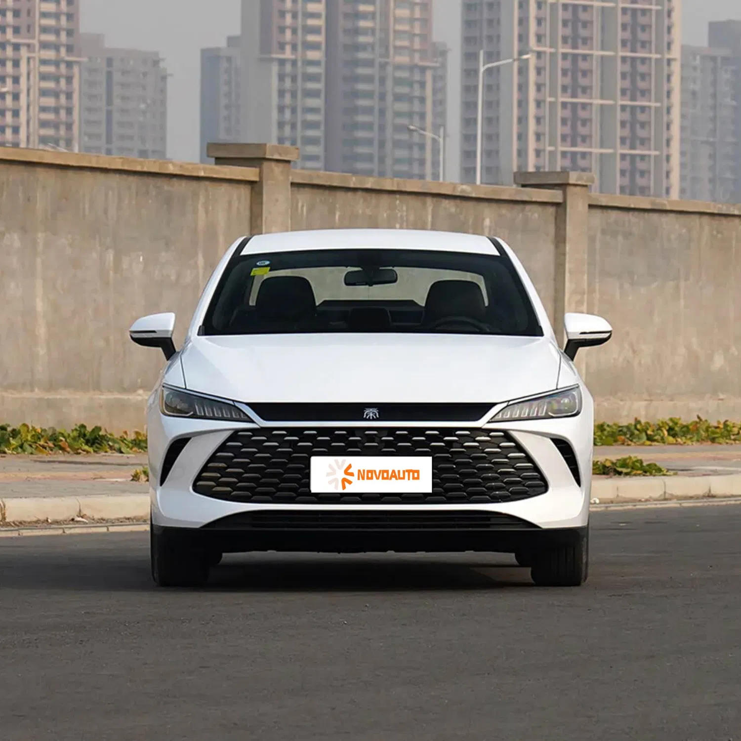 Byd Qin Plus Dm-I 2025 Conducción Inteligente Dm-I 55km Coches Eléctricos Inteligentes (Qin Song Tang L PRO Plus Gaviota León Marino Sello 05 06 07)