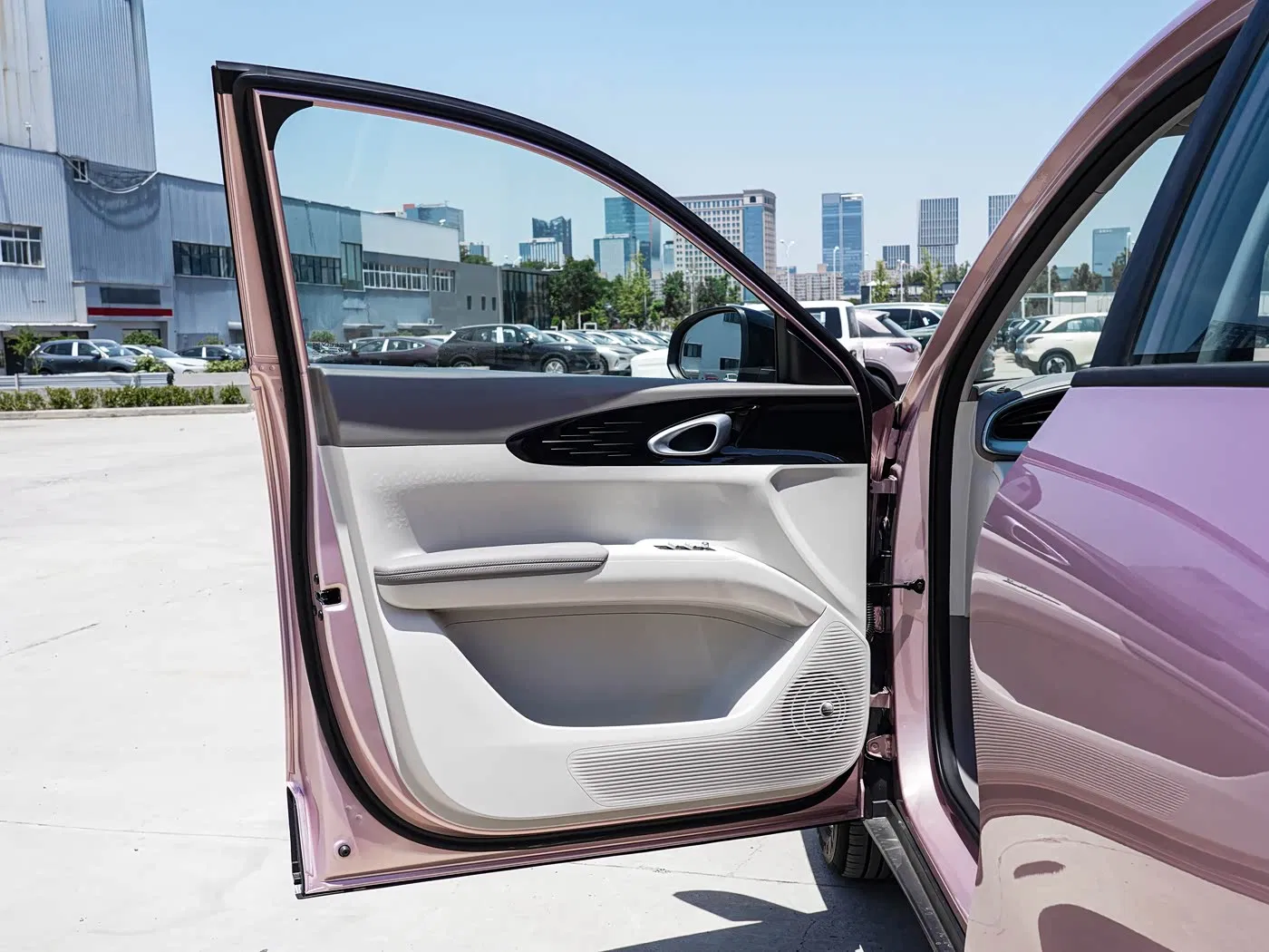 Geely Galaxy Star Wish Detalle 4