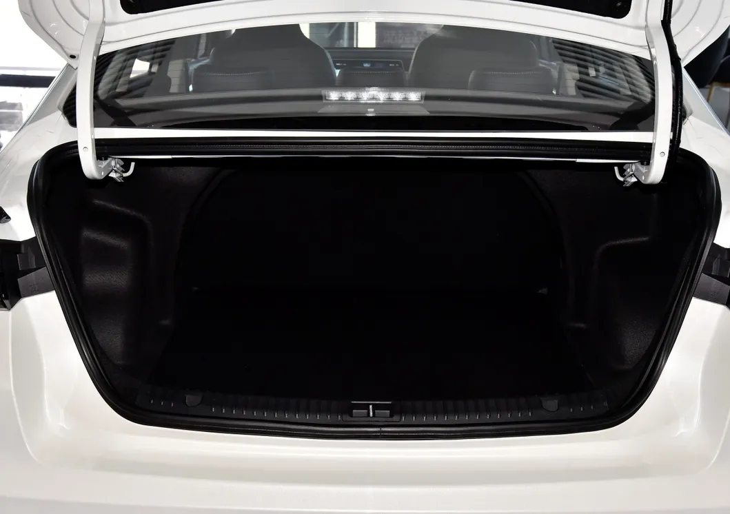 Coche Eléctrico Puro Adecuado para Taxi Precio Barato EU5 Plus Coche