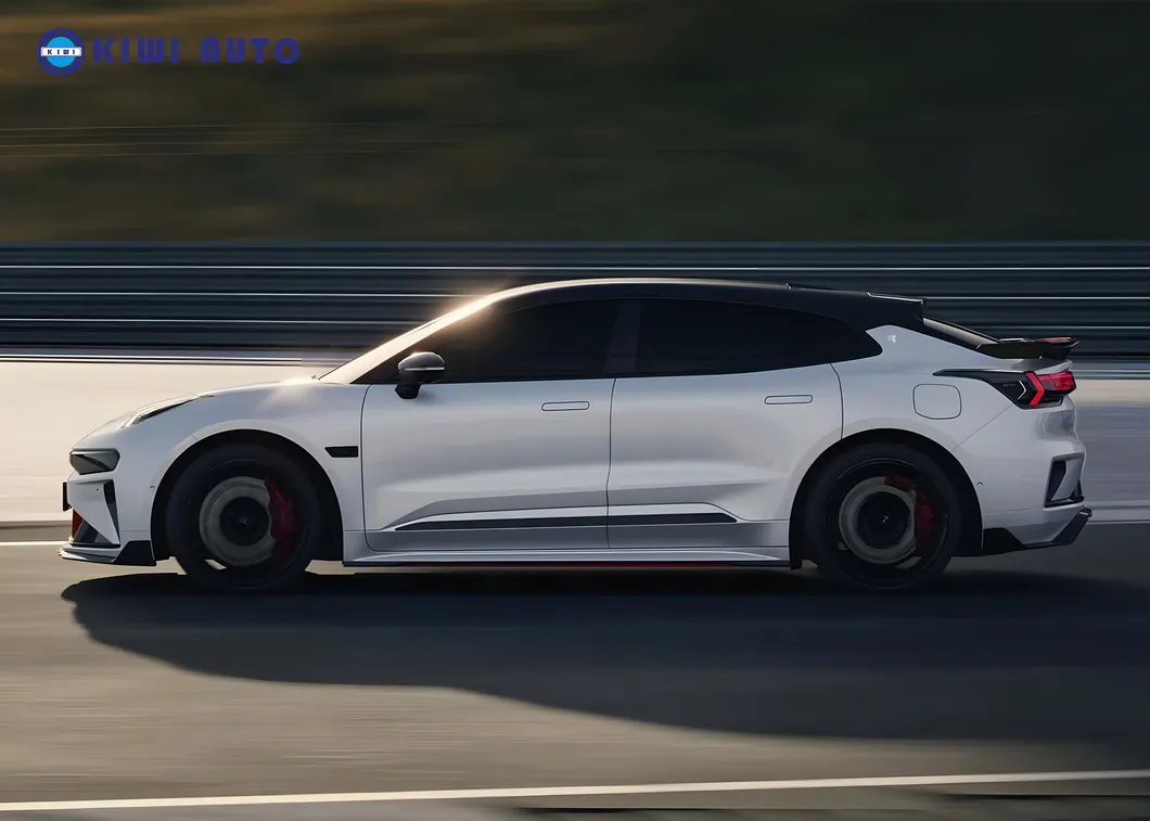 Vehículo de nueva energía coche eléctrico puro vehículo mediano grande 5 Asientos hatchback