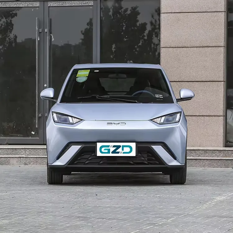 Coche Mini Byd Seagull, Conducción Autónoma, Vehículo de Nueva Energía, Coche Rosa, Decoraciones Personalizadas para Coche