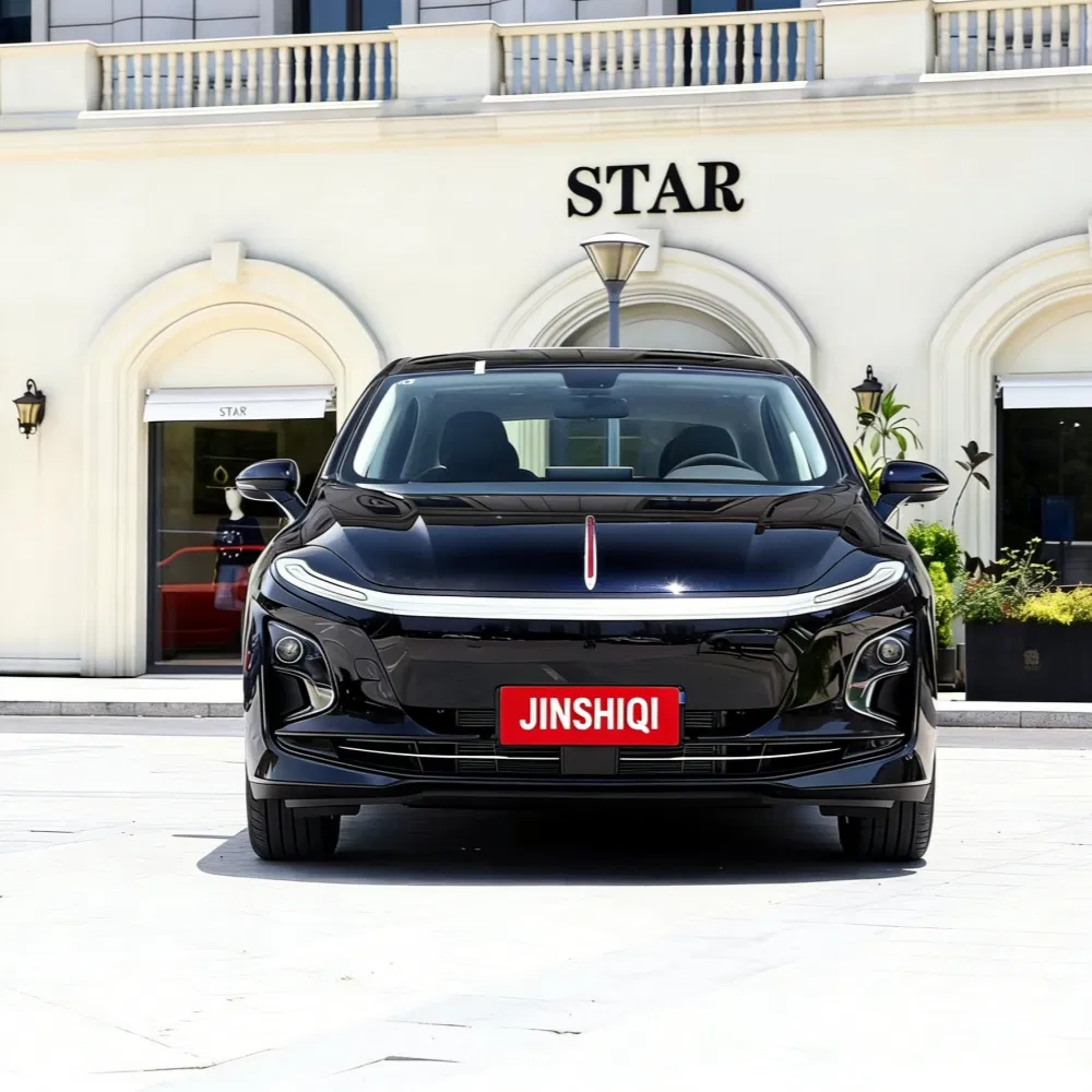 Detalle Hongqi E-Qm5 6