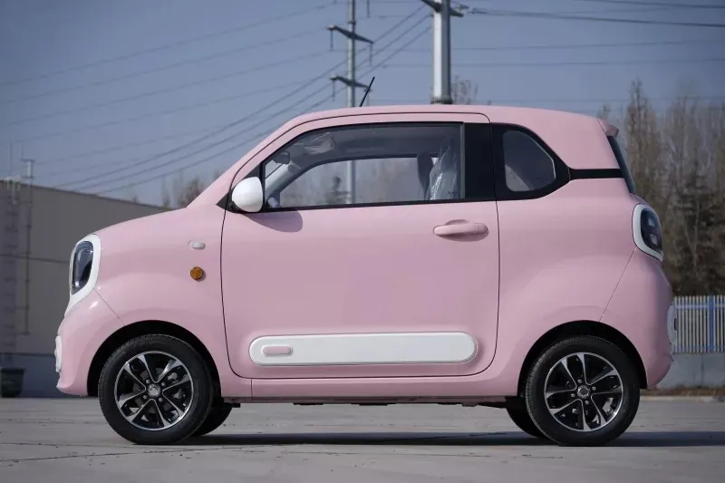 Coche mini eléctrico de pasajeros compacto para todas las estaciones, vehículo de nueva energía popular