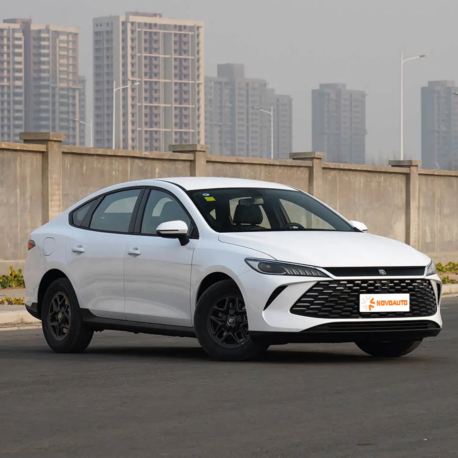 Byd Qin Plus Dm-I 2025 Conducción Inteligente Dm-I 55km Coches Eléctricos Inteligentes (Qin Song Tang L PRO Plus Gaviota León Marino Sello 05 06 07)