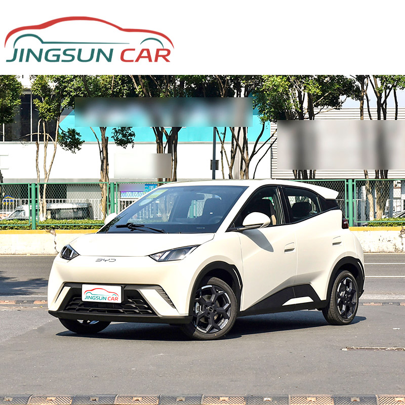 Byd Seagull Alto Rendimiento 5-Door 4-Seater Hatchback Automático Aire Acondicionado Vehículo de Nueva Energía Coche Eléctrico
