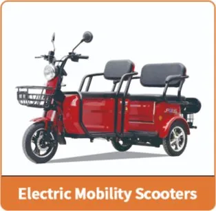 Coche eléctrico mini con EEC