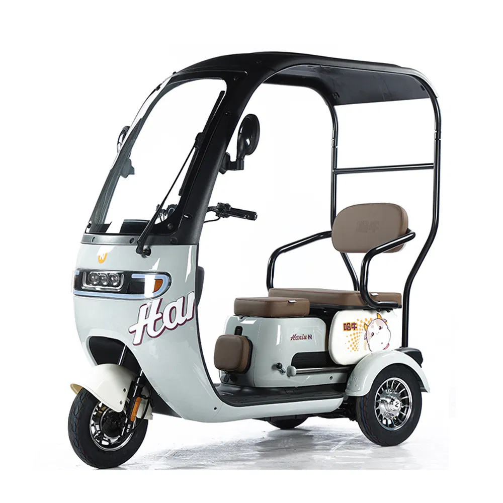 Scooter de movilidad vehículo eléctrico con prueba de e-triciclo 3 bicicleta