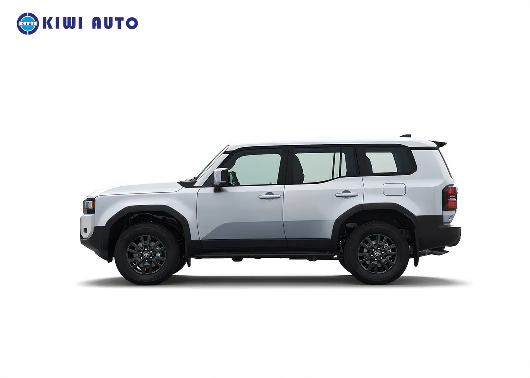 Toyota Prado View 3