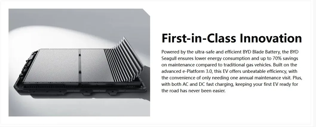 BYD SEAGULL