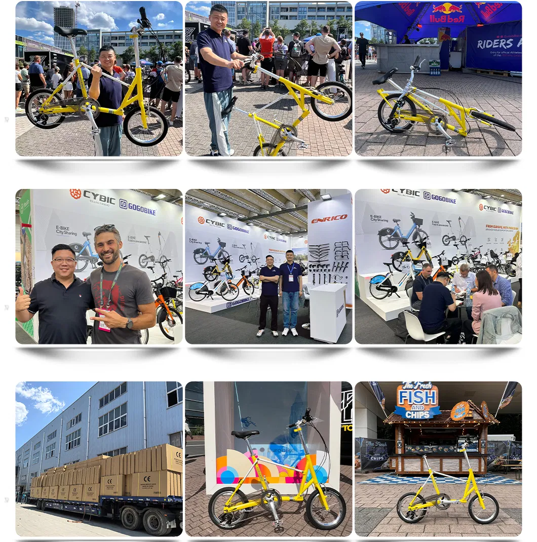 Exposiciones y Eventos