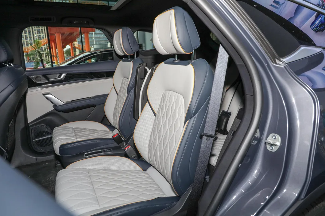 Tang EV View 6