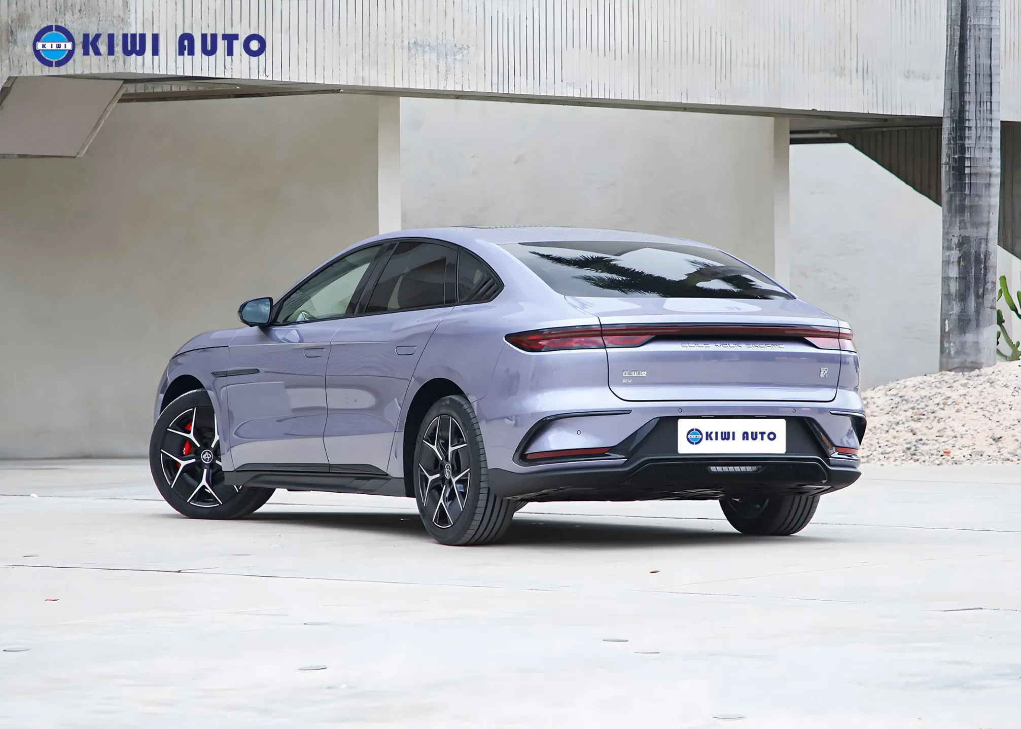 Venta Caliente Nuevo Vehículo de Energía 2025 Lujo Inteligente Dm-I Híbrido Enchufable EV Sedán Eléctrico Automóvil Vehículo para Adultos