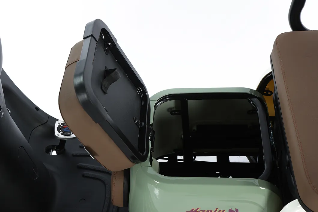 Scooter de movilidad vehículo eléctrico con prueba de e-triciclo 3 bicicleta
