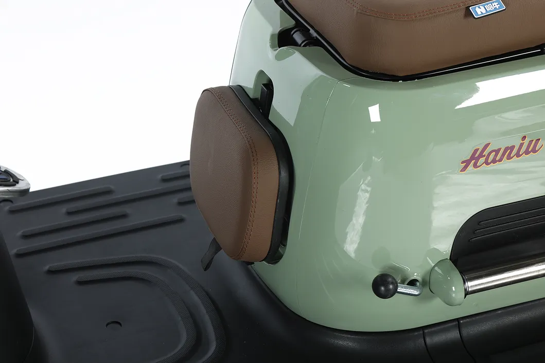 Scooter de movilidad vehículo eléctrico con prueba de e-triciclo 3 bicicleta