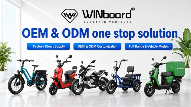 Solución única OEM/ODM