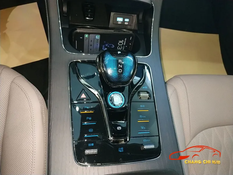 Detalle Interior Byd Han EV