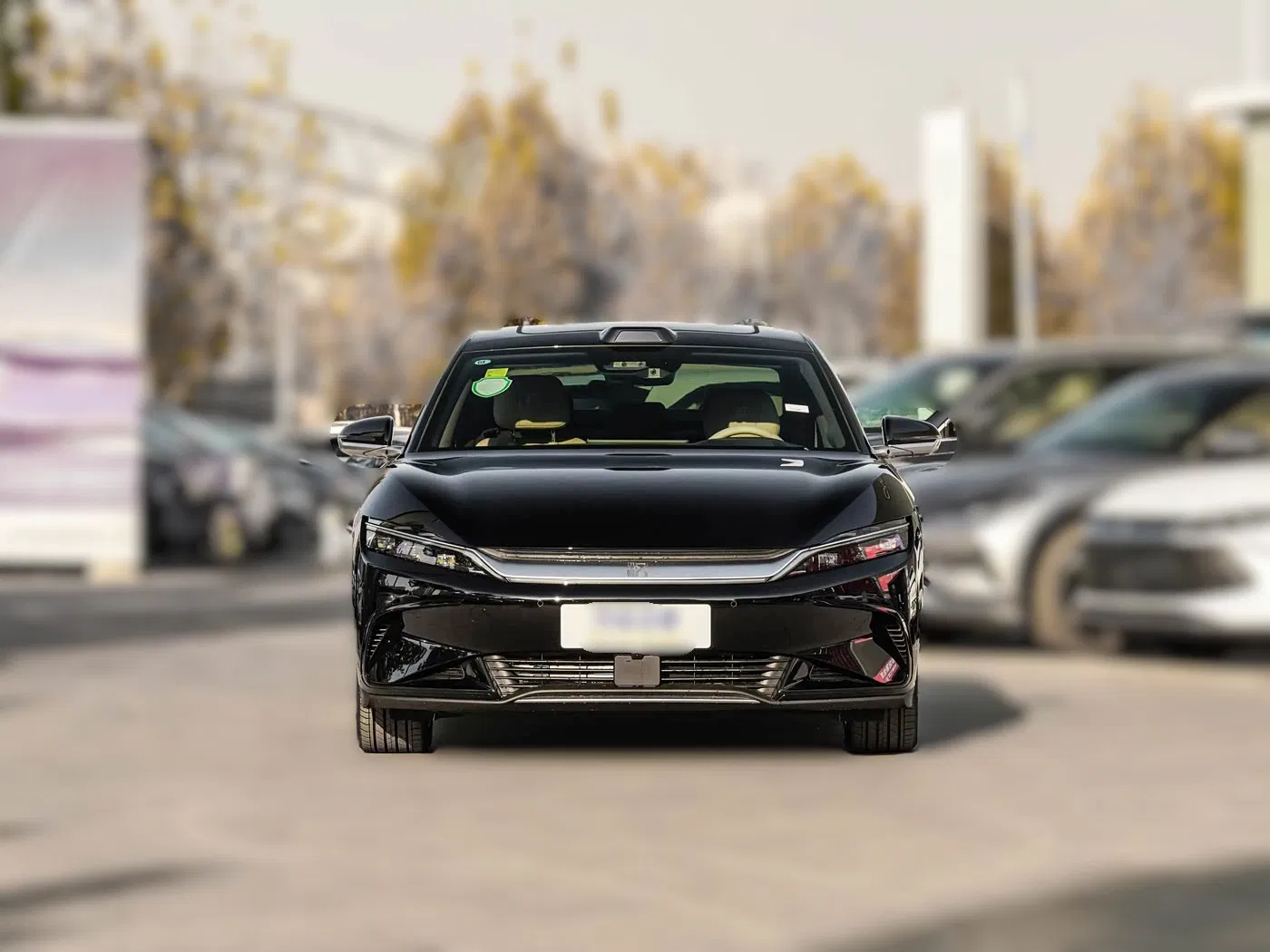 Coche Usado Han 2025 Edición de Conducción Autónoma EV 506km Premium para Viaje