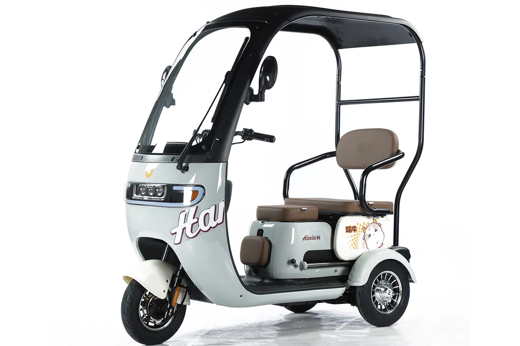 Scooter de movilidad vehículo eléctrico con prueba de e-triciclo 3 bicicleta