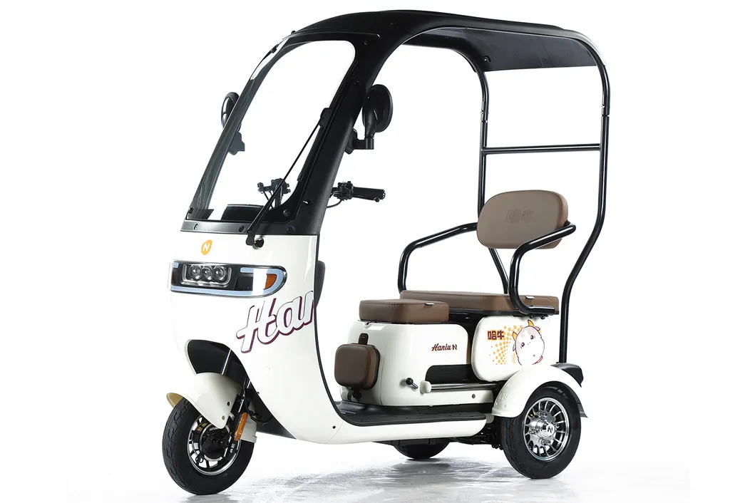 Scooter de movilidad vehículo eléctrico con prueba de e-triciclo 3 bicicleta