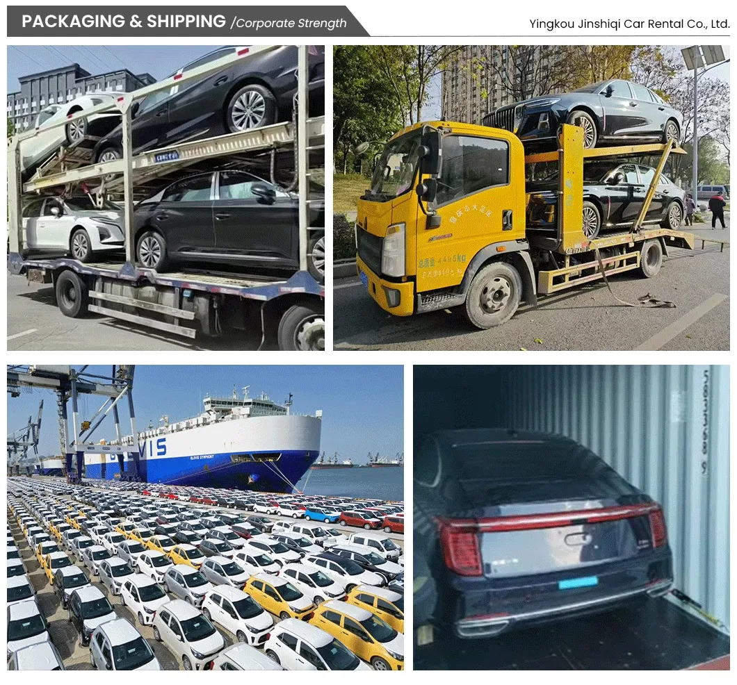 Seguridad de Cabina Hongqi Eqm5