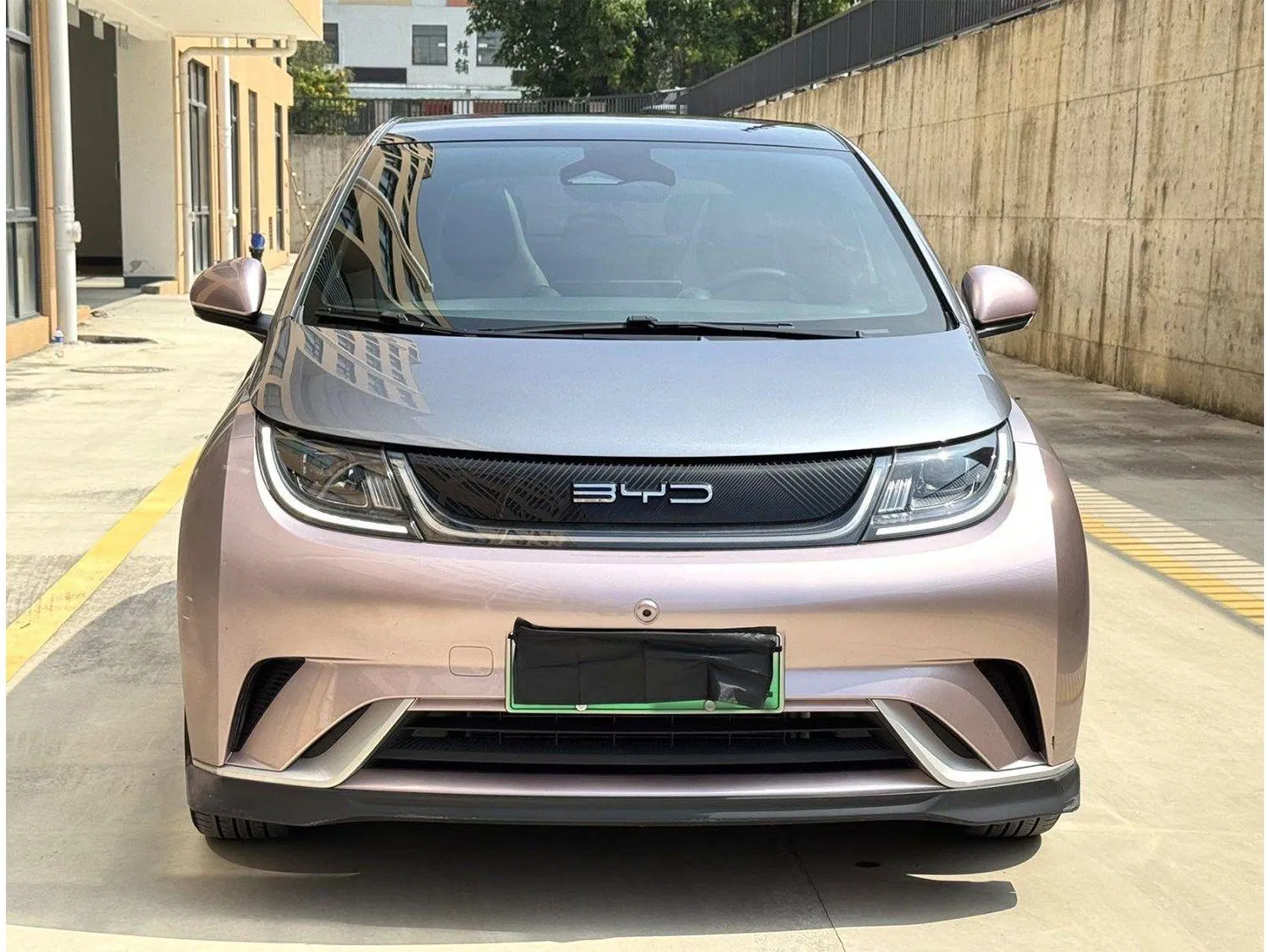 2024 Coche Usado para Byd Dolphin 405km Largo Alcance Moda Coches de Segunda Mano 5-Door 5-Seater Hatchback Barato Mini Eléctrico Byd