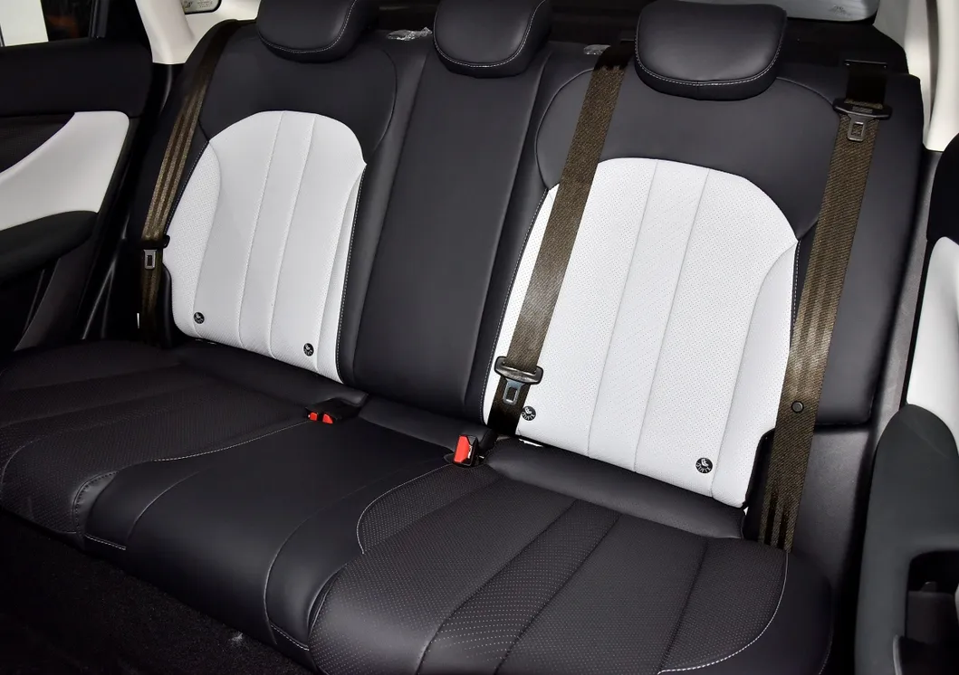 Coche Eléctrico Puro Adecuado para Taxi Precio Barato EU5 Plus Coche