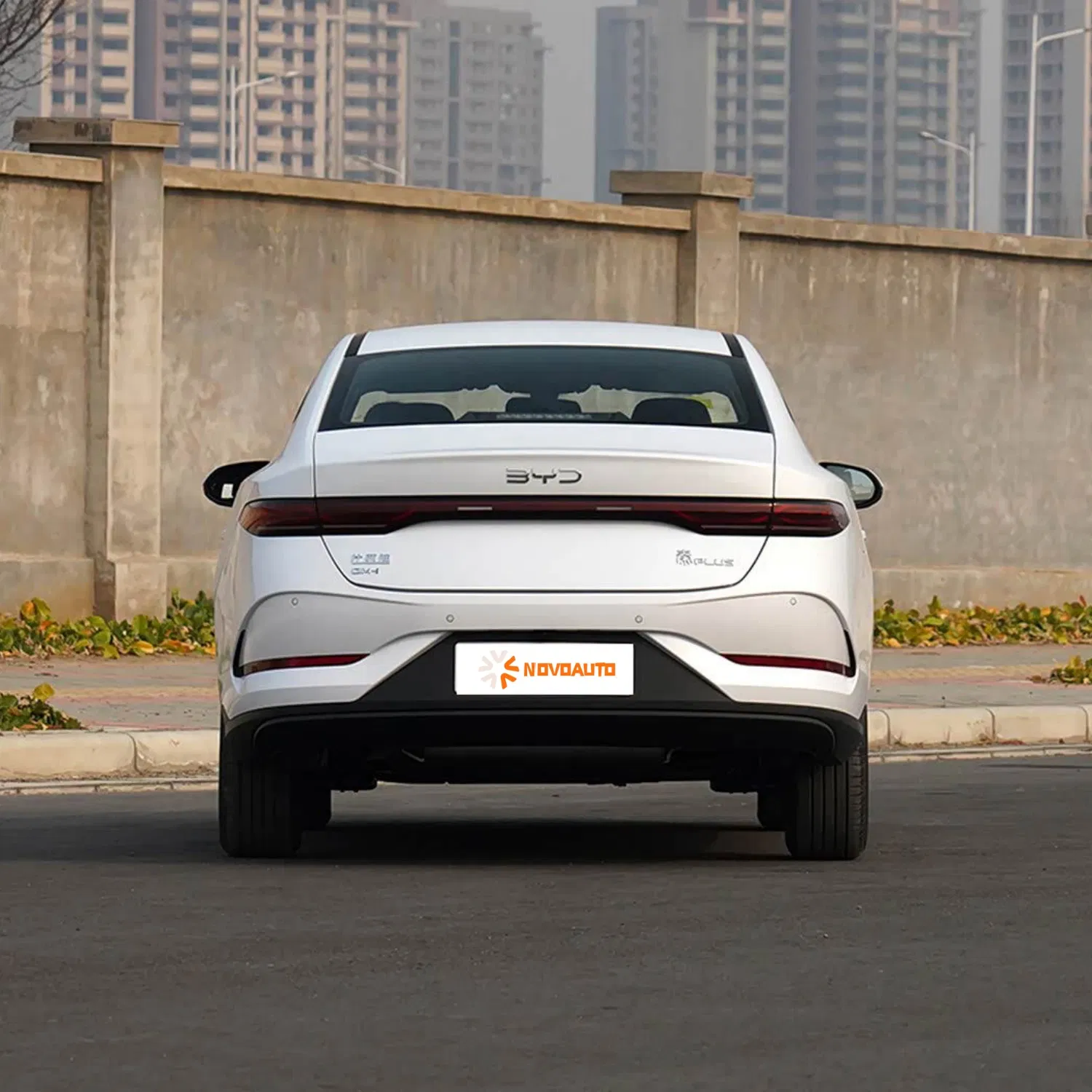Byd Qin Plus Dm-I 2025 Conducción Inteligente Dm-I 55km Coches Eléctricos Inteligentes (Qin Song Tang L PRO Plus Gaviota León Marino Sello 05 06 07)