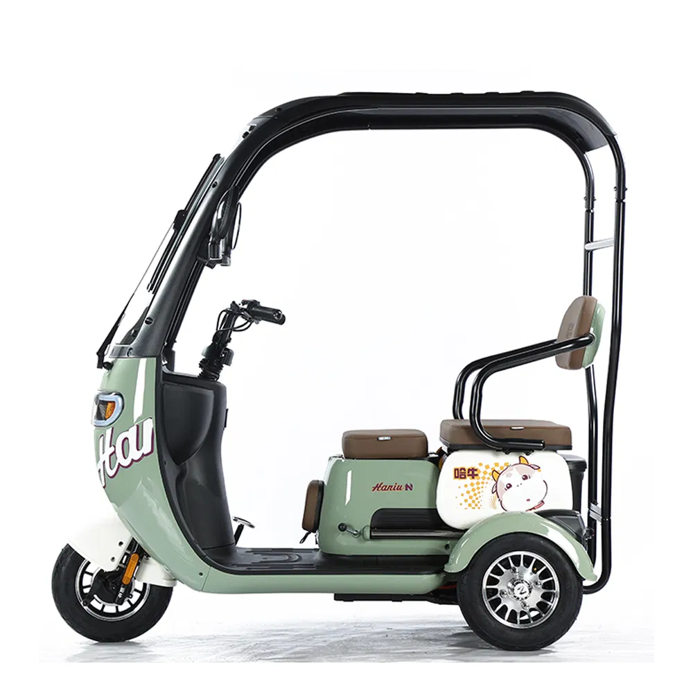 Scooter de movilidad vehículo eléctrico con prueba de e-triciclo 3 bicicleta