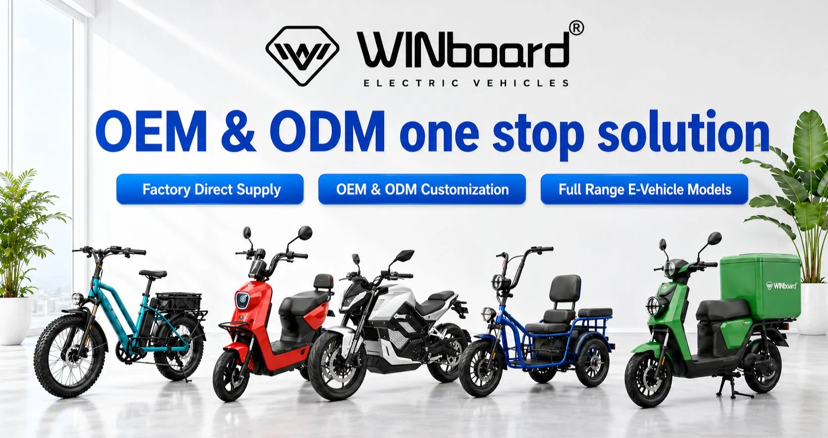 Servicios OEM y ODM - Vehículos Eléctricos