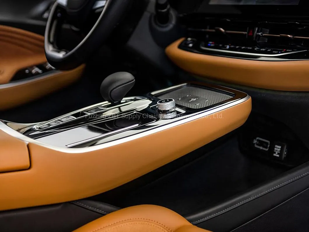 Interior Aion S
