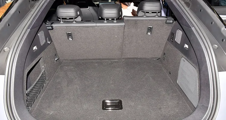 Detalle Byd Sea Lion 7
