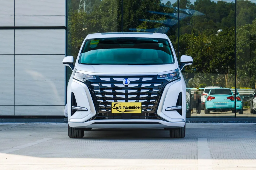 BYD Denza D9 Frontal