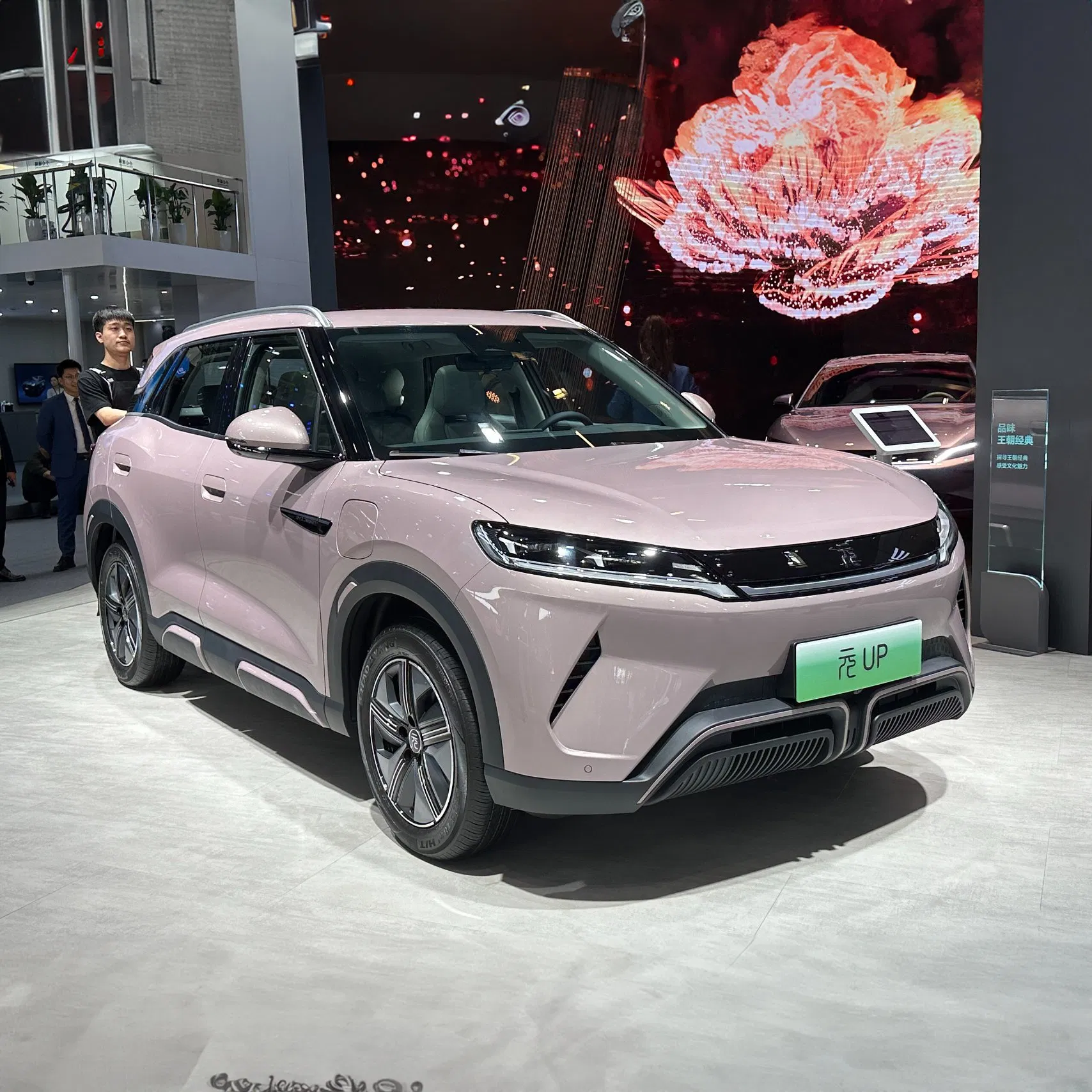 Coche Eléctrico Sino Fabricación en China Byd Yuan usado Vehículo Eléctrico de Lujo 5-Door 5-Seater Vehículo SUV Coche Eléctrico