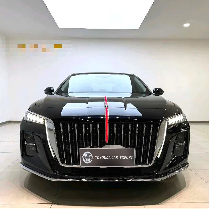 Hongqi 2019 E-HS3 Asiento
