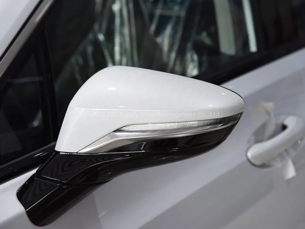 Detalle trasero Aion S