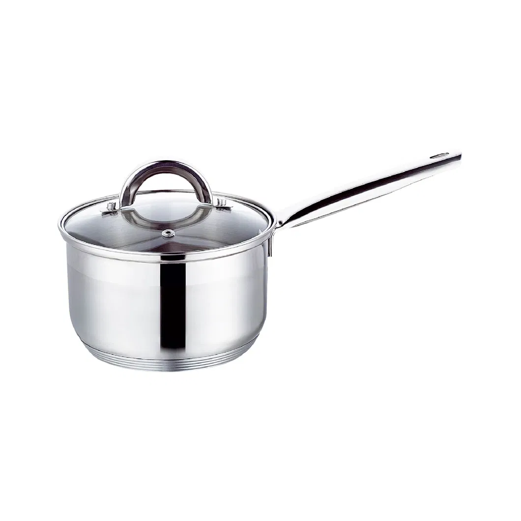 Stainless Steel Saucepan 1