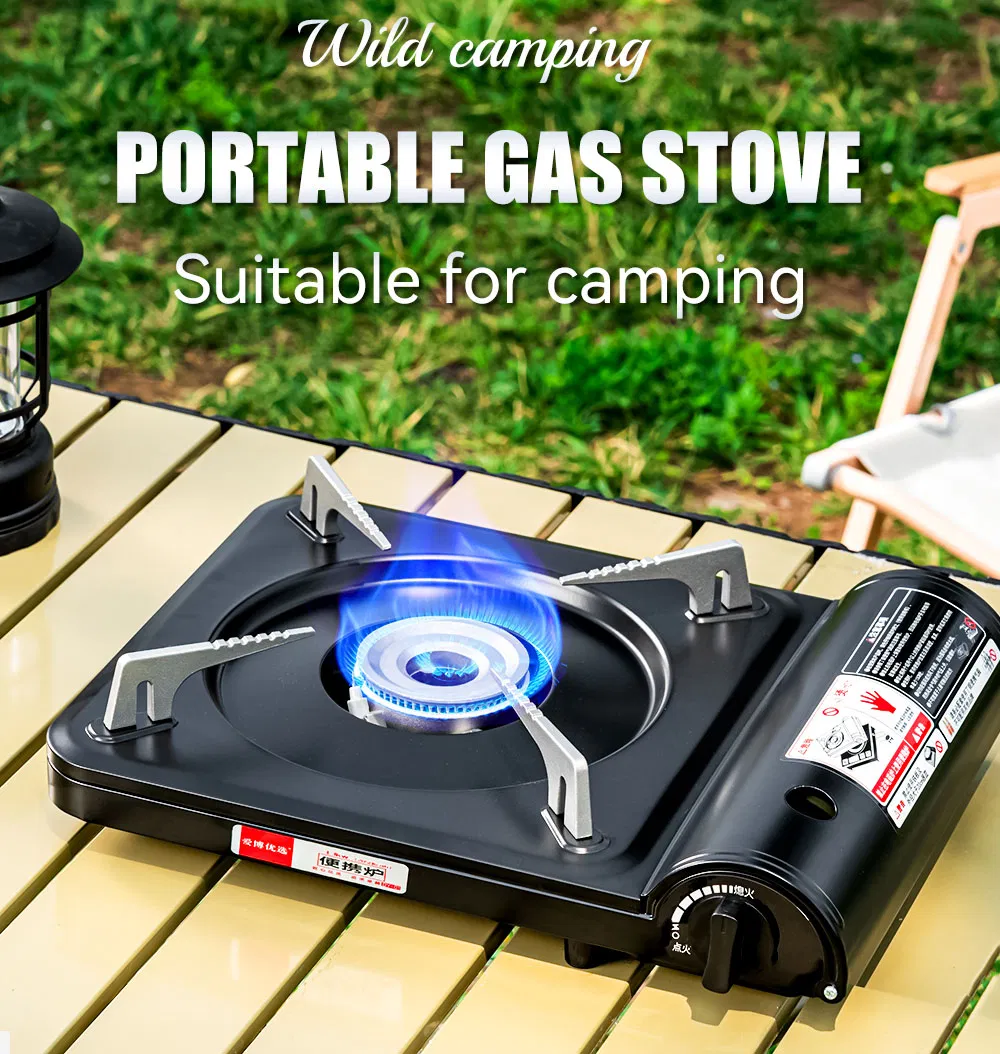 Portable Gas Stove Detail