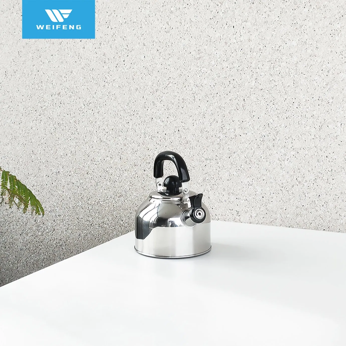 2.0L Stainless Steel Whistling Kettle with Heat Proof Ergonomic Handle, Cookware