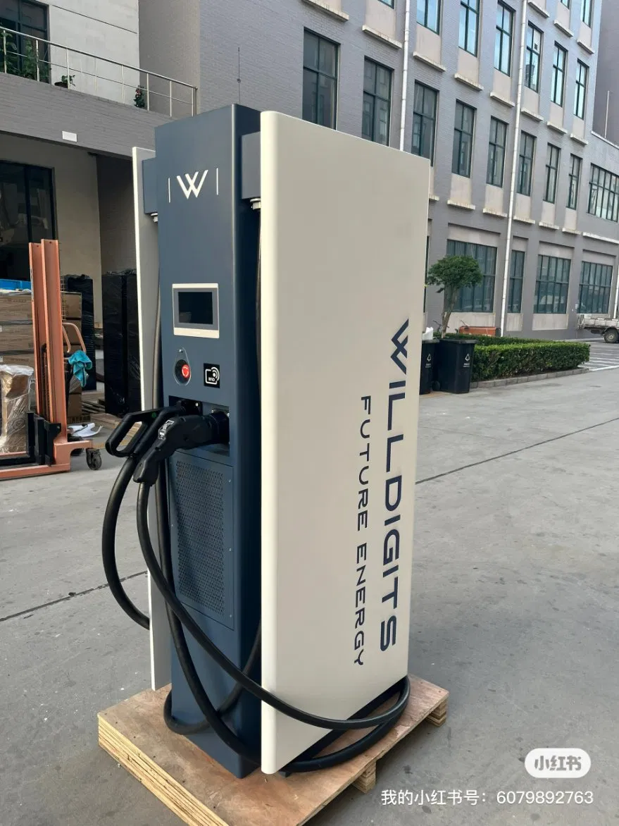 Fast 40/60/80/120kw DC EV Charger Electric Vehicle Charging Station for Electric Car
