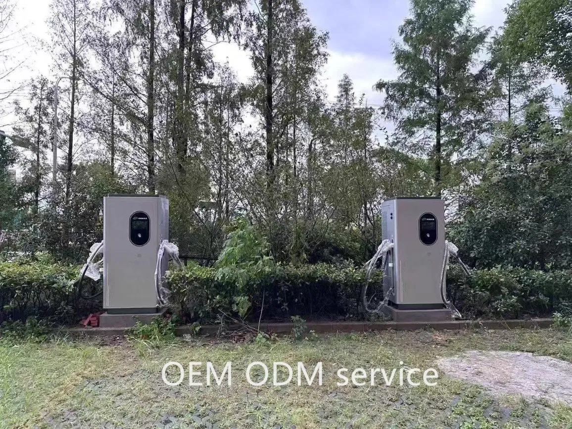 OEM ODM Smart EV Charging Customized Safety V2g Grid-Compliant Durable Fast Modular Charger