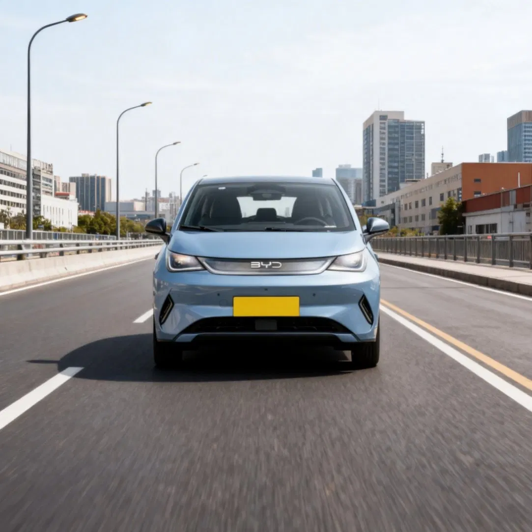 Byd Dolphin Pure Electric Car with 50W Wireless Phone Charging Pad and Multiple USB Ports